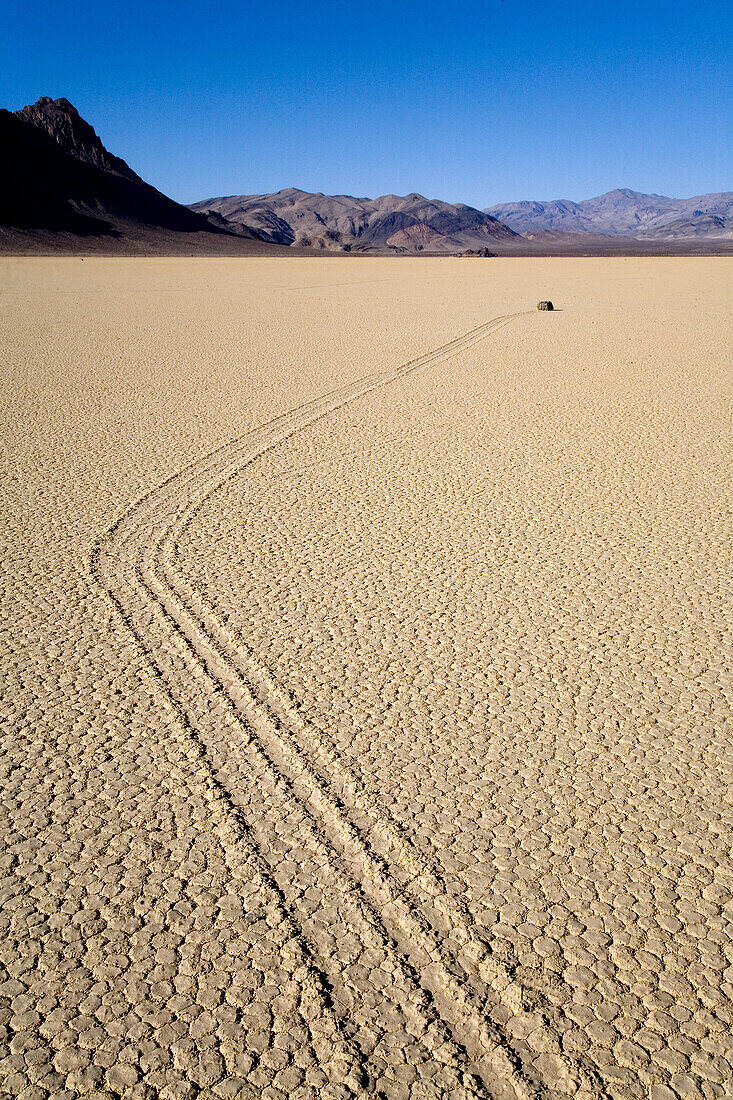 Moving rock. Racetrack Playa. Death Valley National Park. California. USA