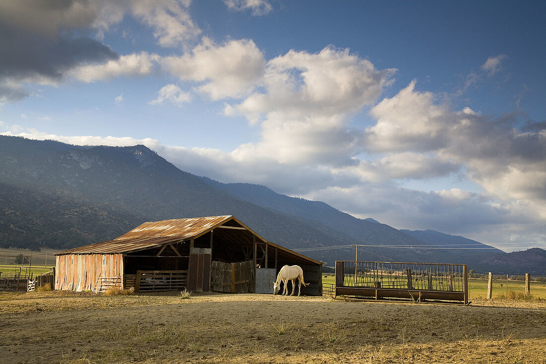 White house on farm in Walker Basin near Lake Isabella, California, Usa.