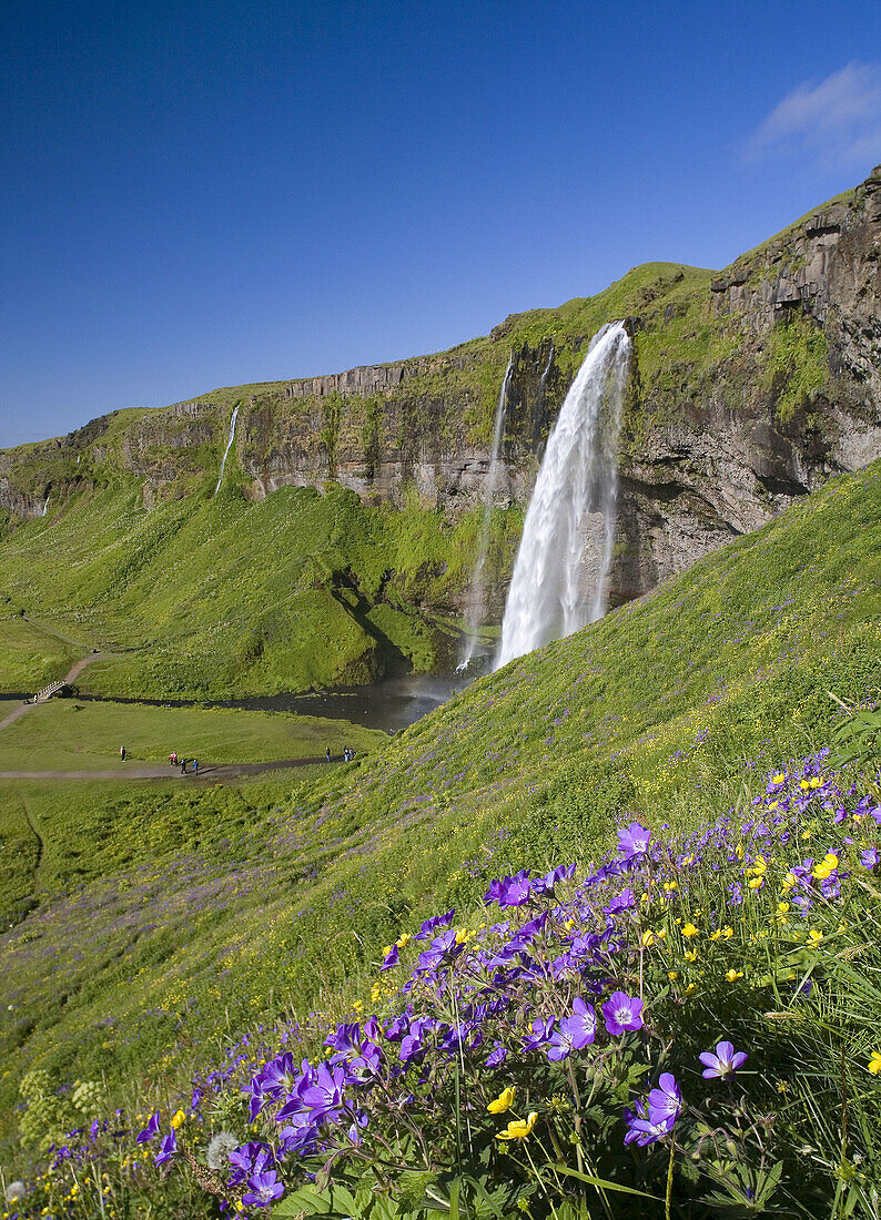 Seljalandsfoss Iceland