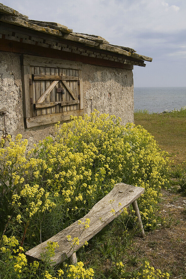 Faludden Gotland Sweden