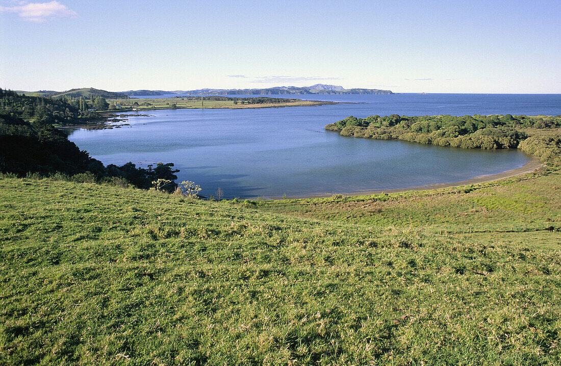 Pasture; Bay of Islands; Northland; New Zealand