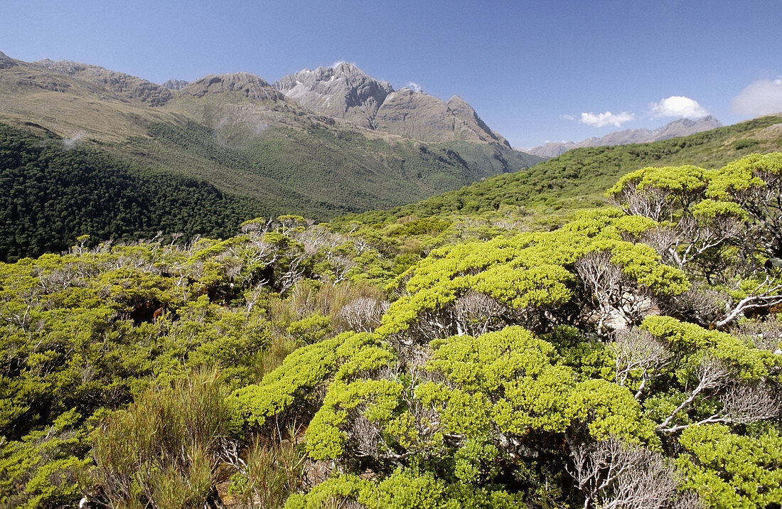 Key Summit, Routeburn Track, Fiordland National Park, Southland, South Island, New Zealand