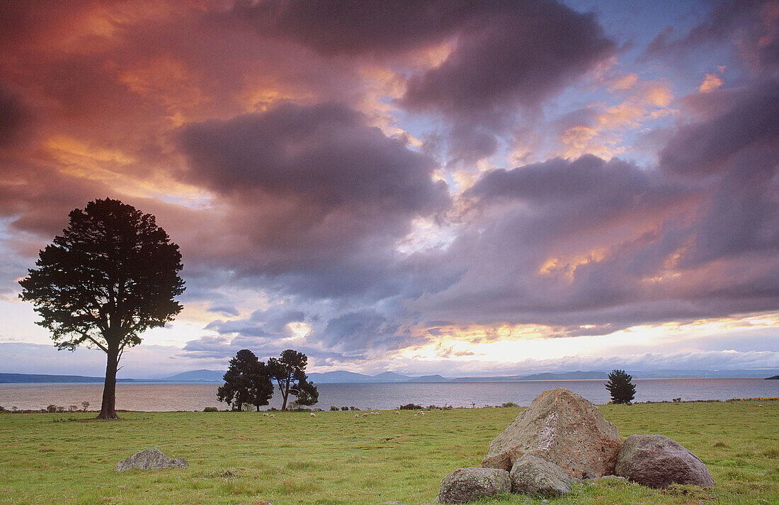 Sunset at Lake Taupo; Waikato; North Island; New Zealand