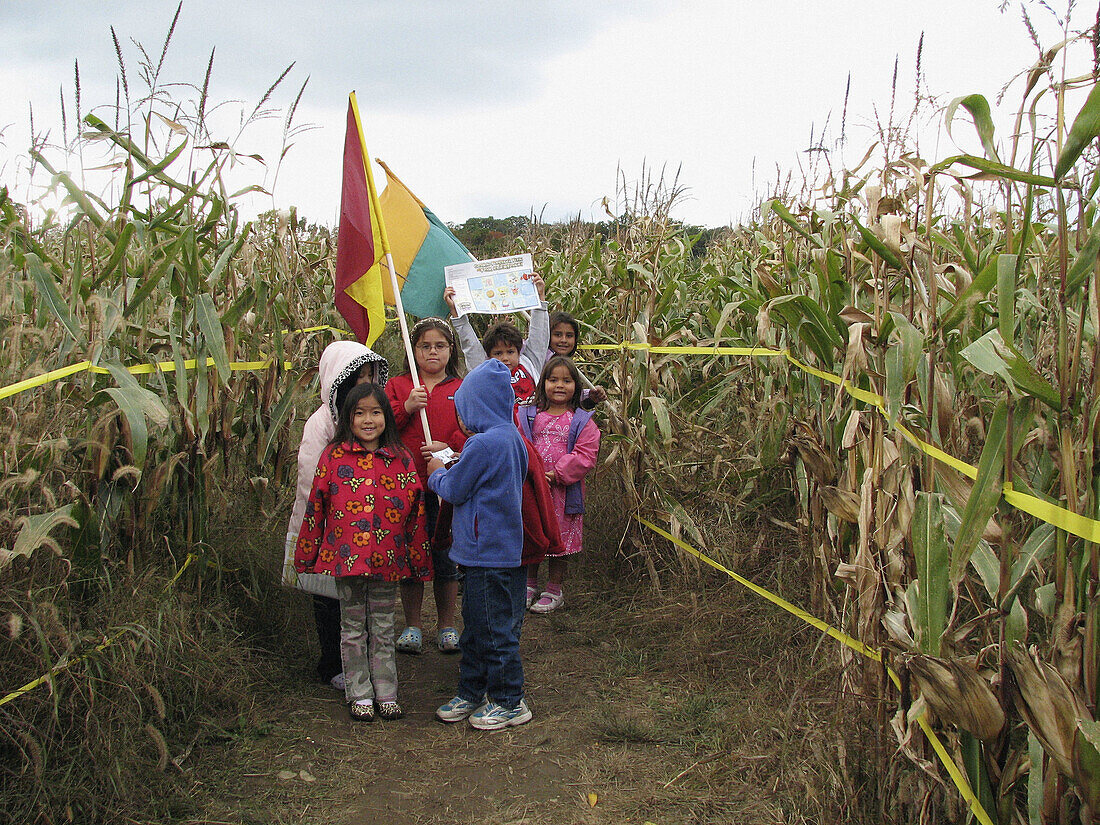 Kids in a corn maze.