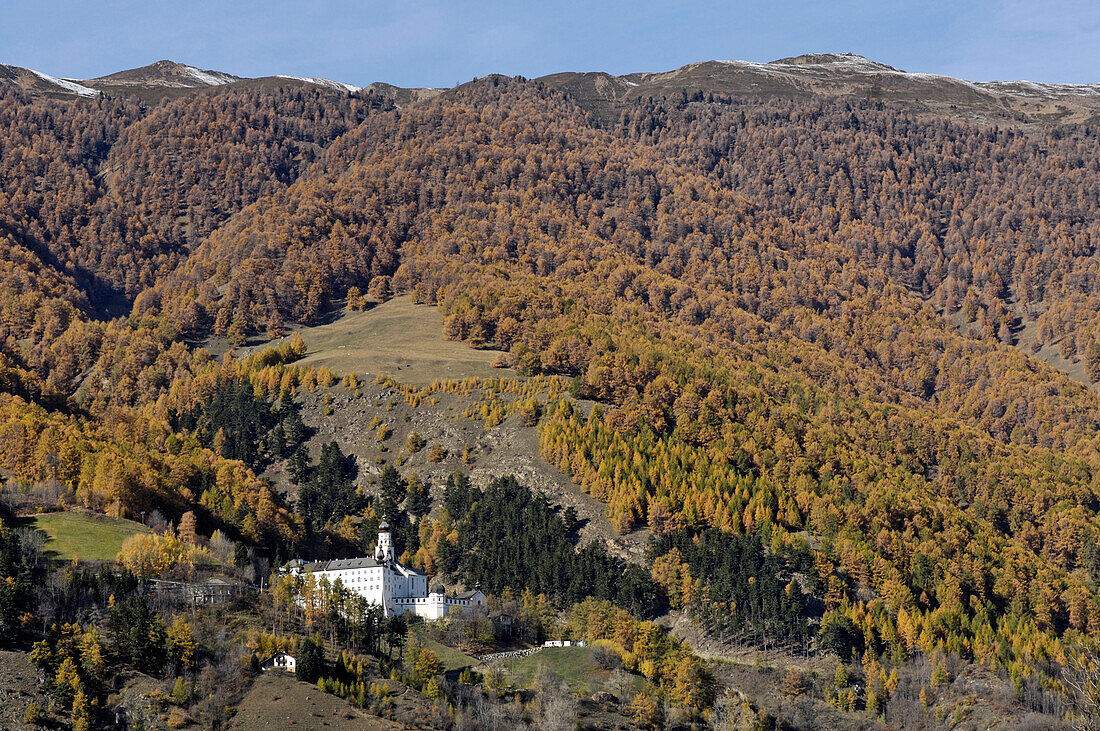 Marienberg abbey at a forested mountain side, Val Venosta, South Tyrol, Italy, Europe