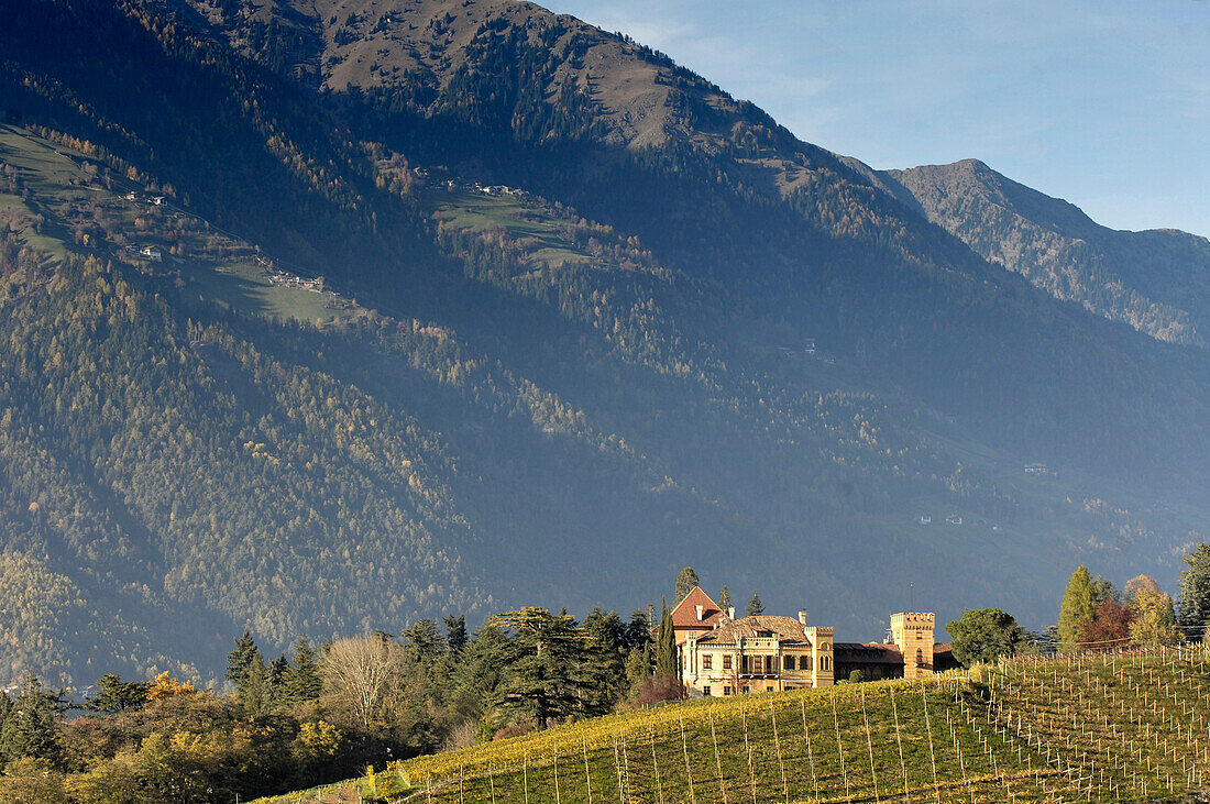 Weingut Schloss Rametz vor einem Berghang, Meran, Vinschgau, Südtirol, Italien, Europa