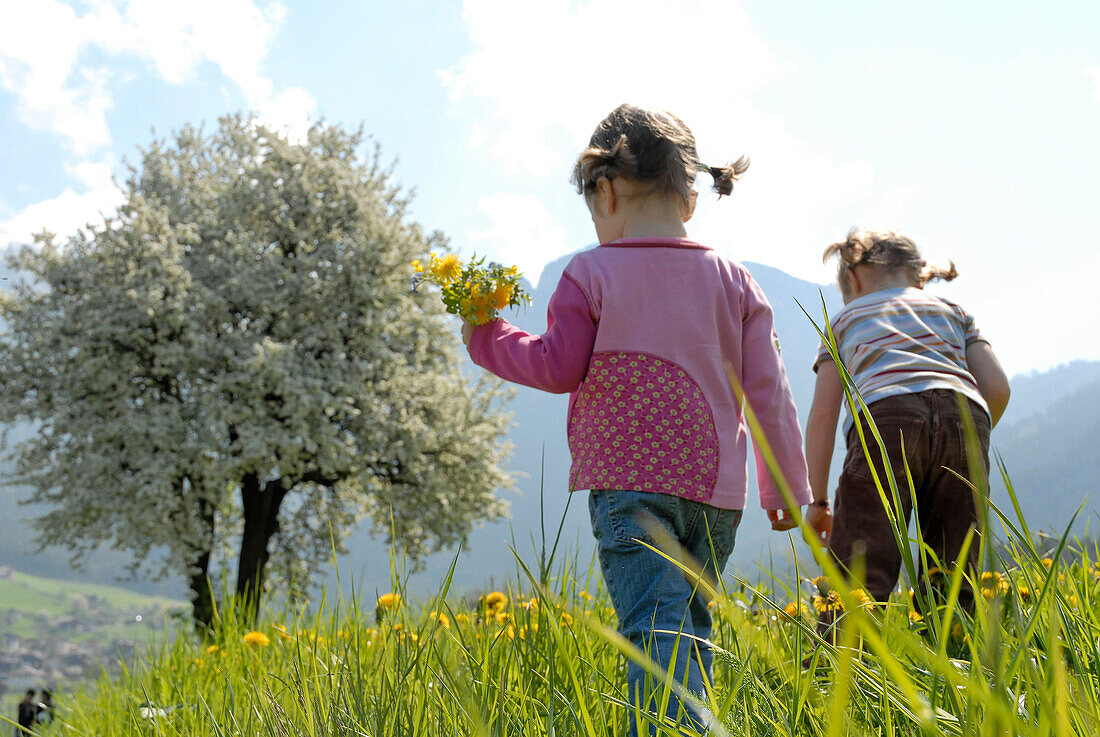 Two girls on a flower meadow in the mountains, Völs am Schlern, South Tyrol, Italy, Europe