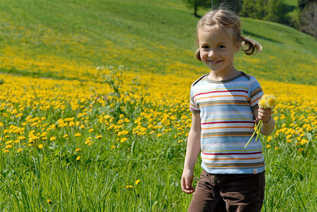 Blond girl on a flower meadow in the mountains, Völs am Schlern, South Tyrol, Italy, Europe