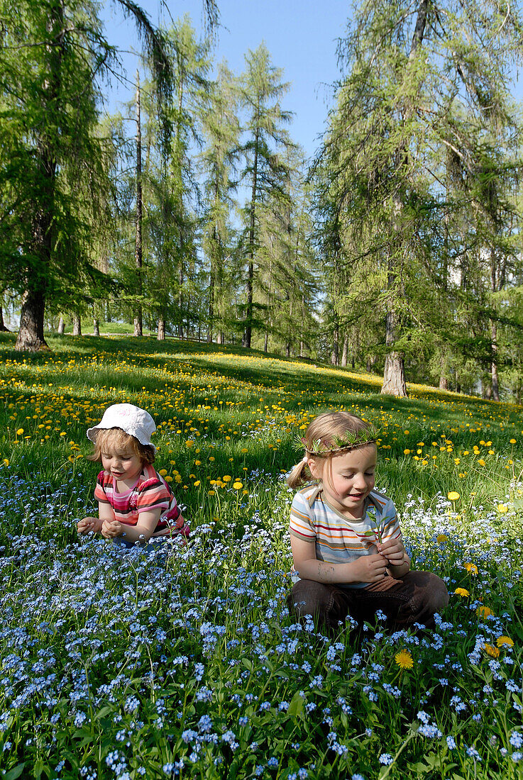 Zwei Mädchen auf einer Blumenwiese, Südtirol, Italien, Europa