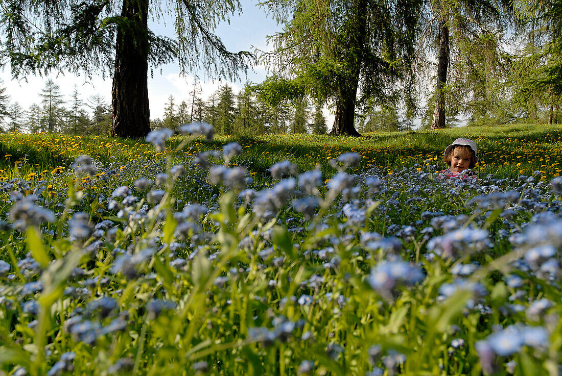 Kleines Mädchen auf einer Blumenwiese, Südtirol, Italien, Europa