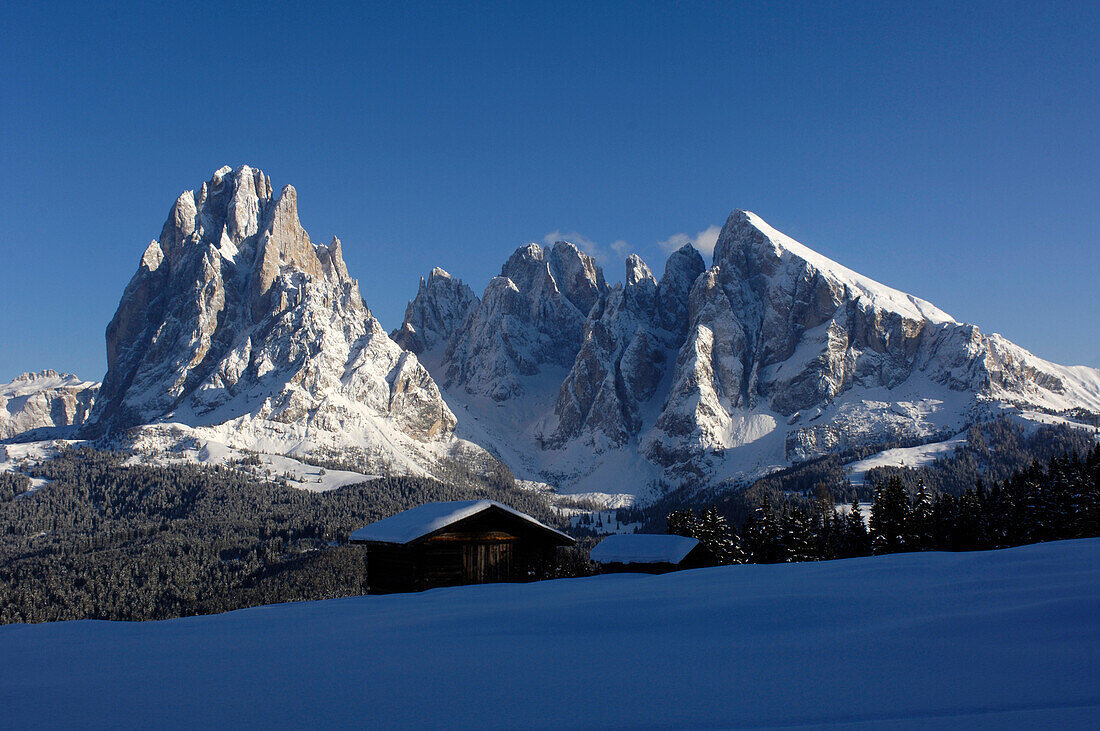 Verschneite Berghütte vor schneebedeckten Bergen unter blauem Himmel, Seiser Alm, Südtirol, Italien, Europa