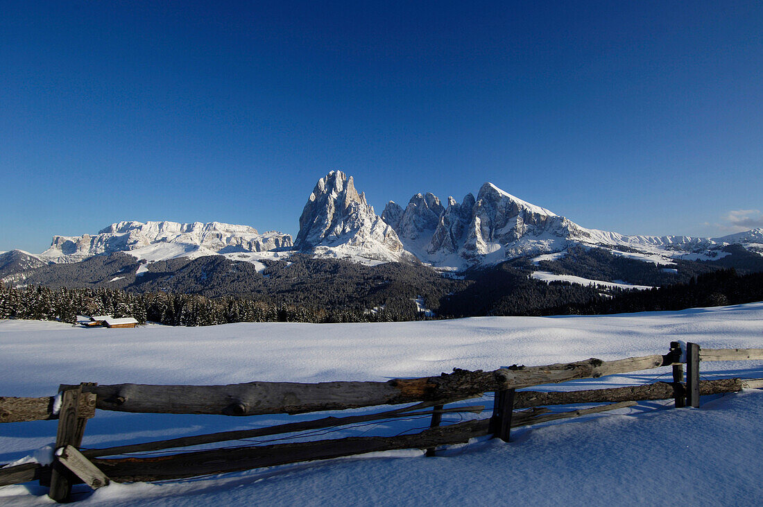 Holzzaun auf der schneebedeckten Seiser Alm unter blauem Himmel, Dolomiten, Südtirol, Italien, Europa
