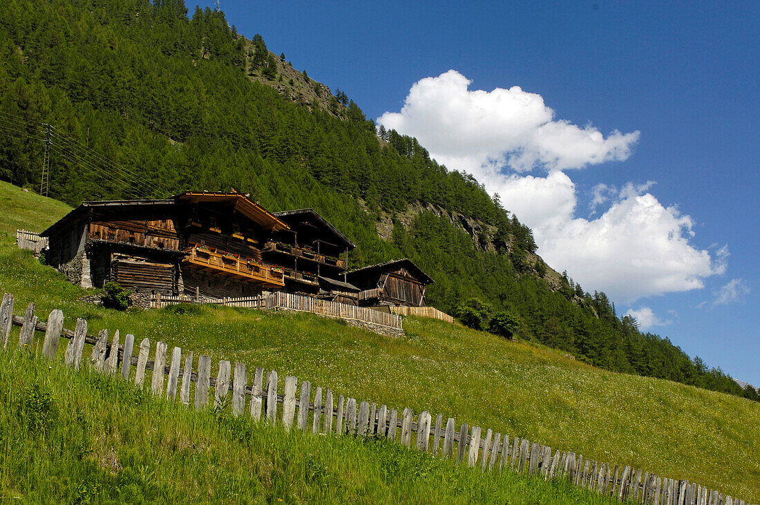 Farm house on an alpine meadow under blue sky, Schnals valley, Val Venosta, South Tyrol, Italy, Europe
