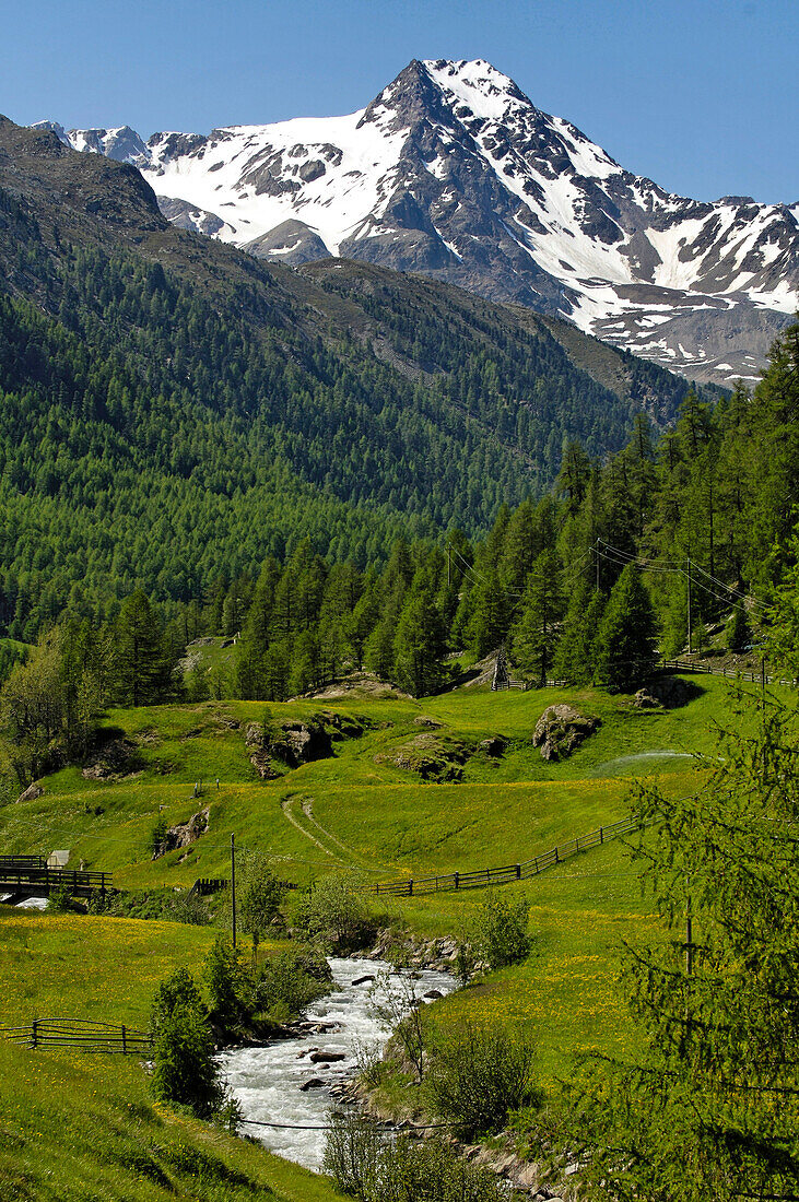 Gebirgsbach in einem Tal unter schneebedecktem Berggipfel, Schnalstal, Vinschgau, Südtirol, Italien, Europa