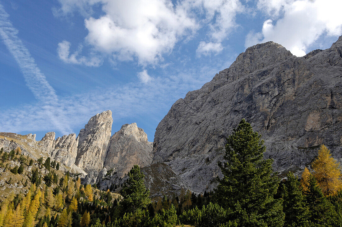 Nadelbäume und Felswand unter Wolkenhimmel im Herbst, Dolomiten, Südtirol, Italien, Europa
