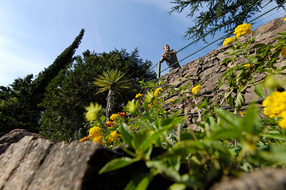 Junger Mann oberhalb einer Mauer betrachtet die Aussicht, Guntschnapromenade, Bozen, Südtirol, Italien, Europa