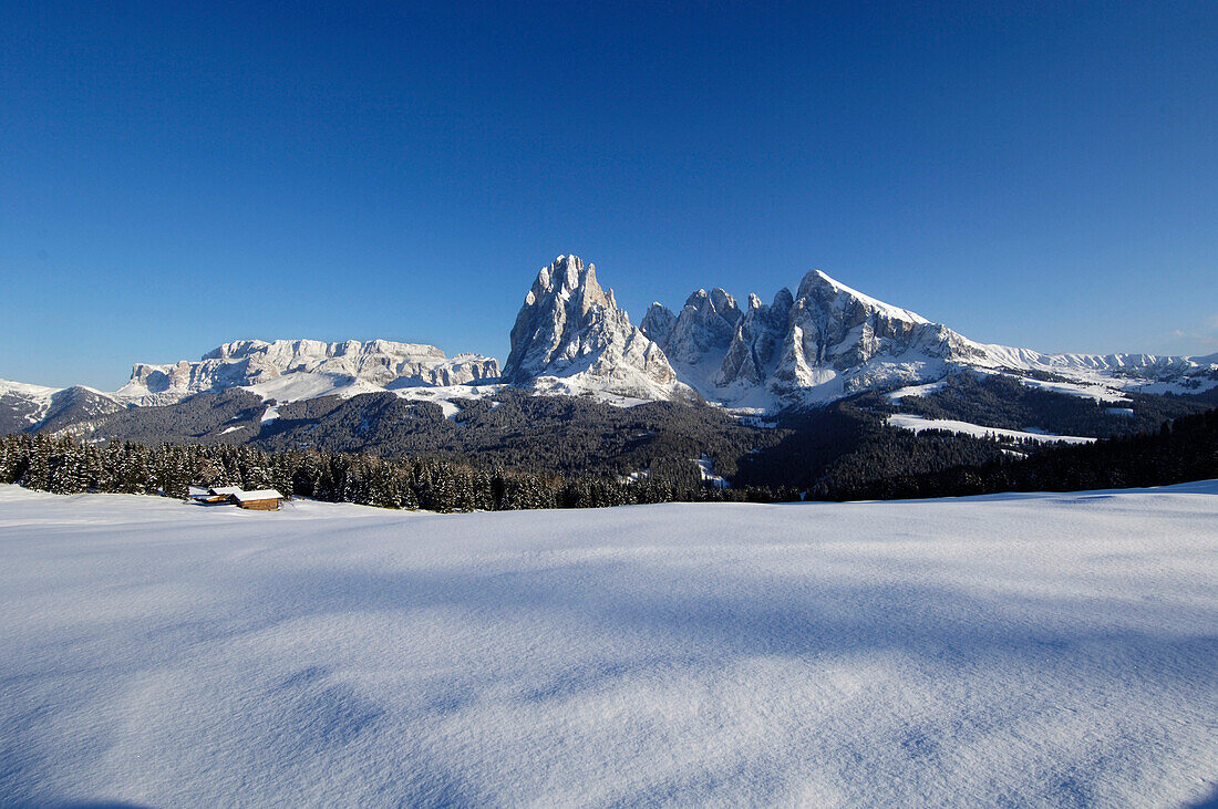 Almhütte und verschneite Berge unter blauem Himmel, Seiser Alm, Eisacktal, Südtirol, Italien, Europa