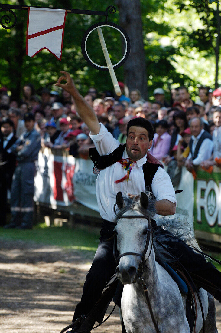 Ein Mann reitet im Galopp bei einem Turnier vor Zuschauern, Südtirol, Italien, Europa