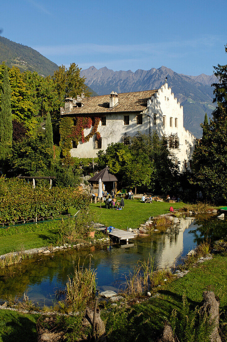 View at the garden of vineyard Kränzel in teh sunlight, Burggrafenamt, Etsch valley, Val Venosta, South Tyrol, Italy, Europe