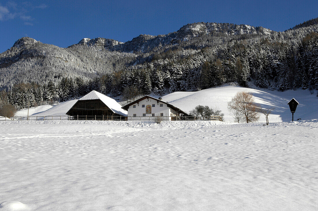 Schneebedecktes Bauenhaus mit Scheune im Sonnenlicht, Kastelruth, Eisacktal, Südtirol, Italien, Europa