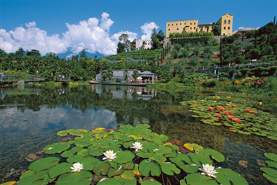 The garden of Trauttmansdorff castle, Meran, South Tyrol, Italy