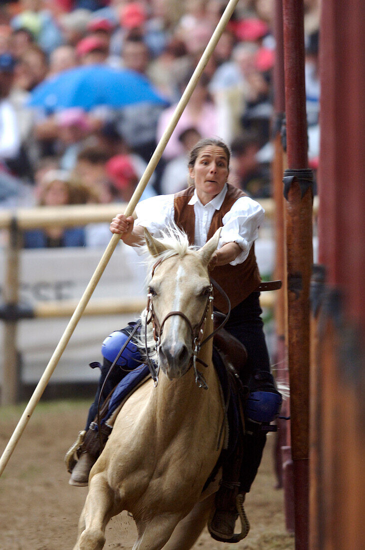 Tournament, Slalom, Oswald von Wolkenstein Ritt, Event 2005, Proesels castle, Voels am Schlern, South Tyrol, Italy