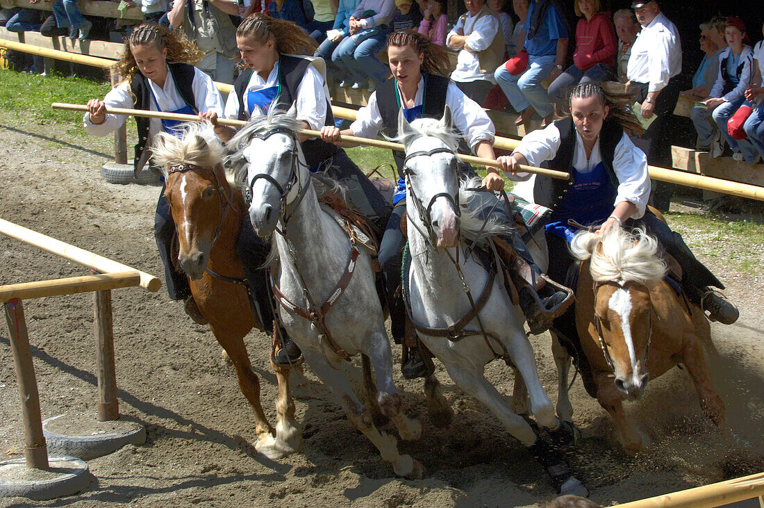 Labyrinth, Turnierspiele, Oswald von Wolkenstein Ritt, Veranstaltung 2005, Seis am Schlern, Südtirol, Italien