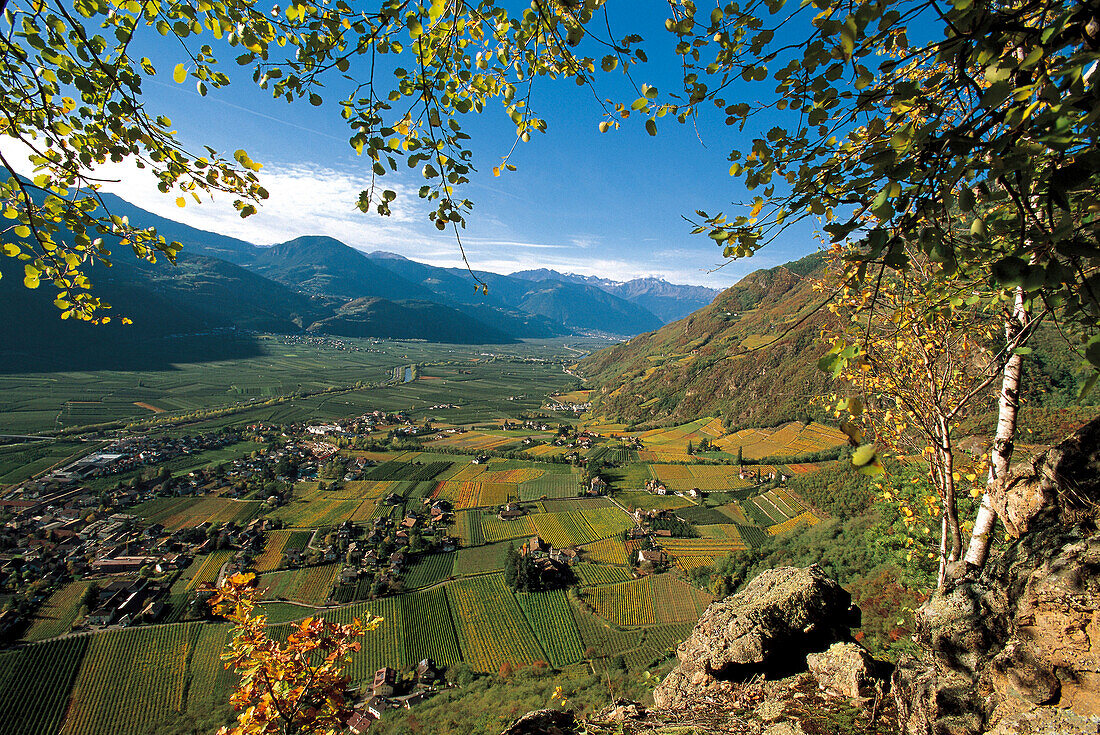 Autumn landscape, view over the Etsch valley, Wine Growing area, Terlan, South Tyrol, Italy