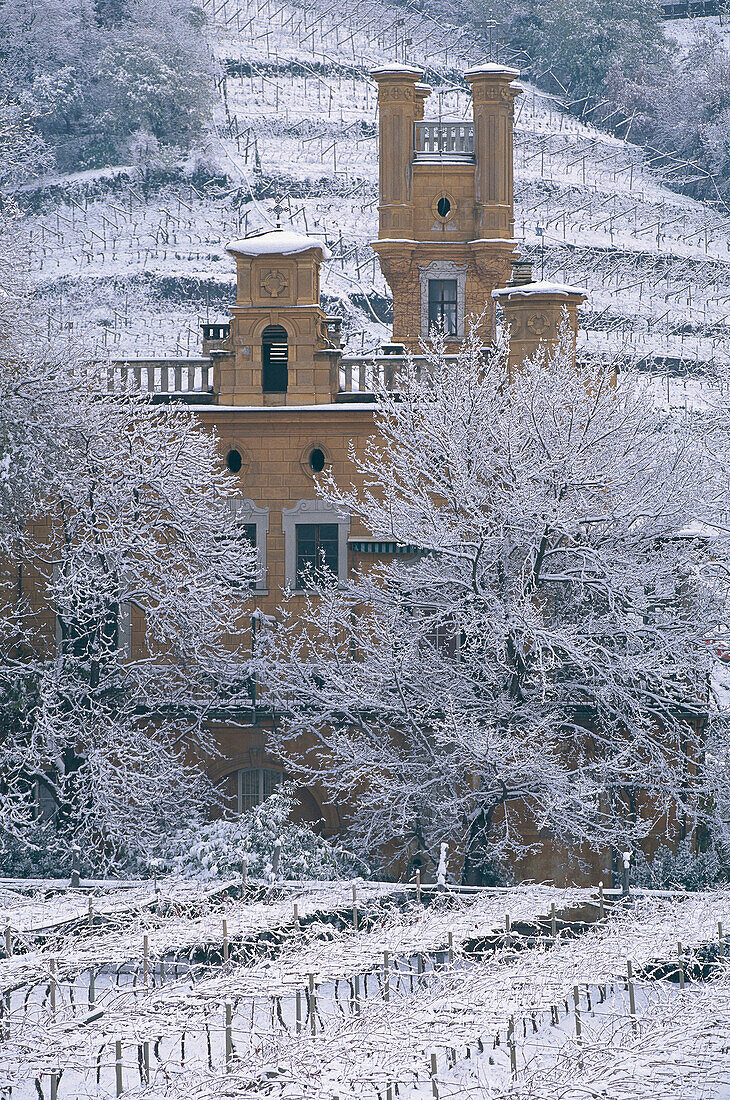 Winery and landscape in winter, Bolzano, South Tirol, Italy