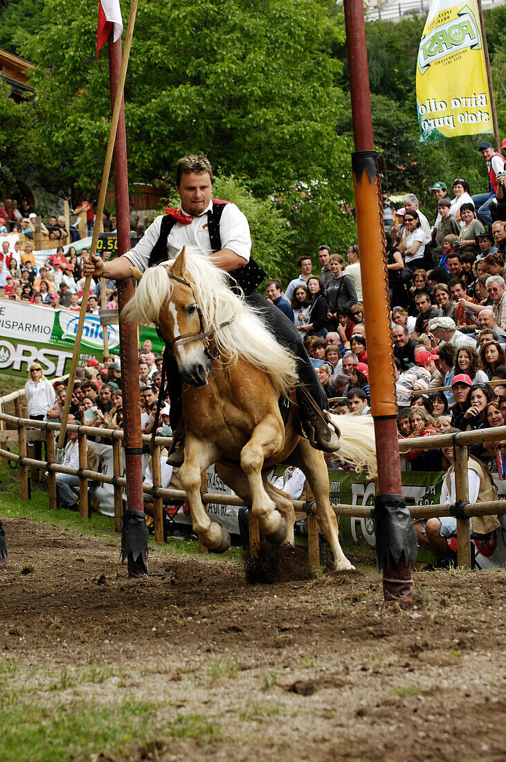 Tournament, Oswald von Wolkenstein Ritt, Event 2007, Proesels, South Tyrol, Italy