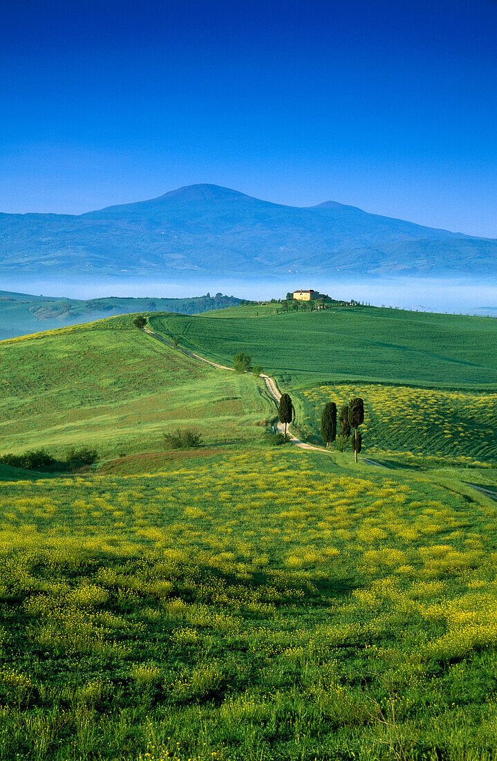 Landschaft mit Landhaus unter blauem Himmel, Blick zum Monte Amiata, Val d'Orcia, Toskana, Italien, Europa