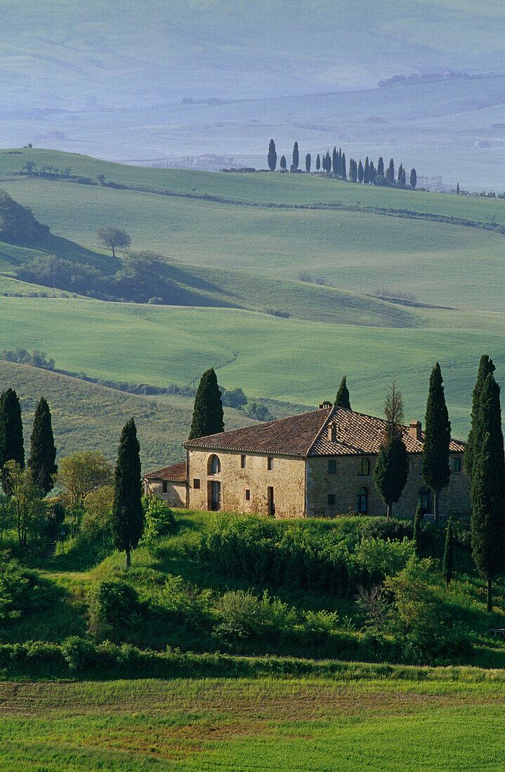 Blick auf Landhaus mit Zypressen auf einem Hügel, Val d'Orcia, Toskana, Italien, Europa