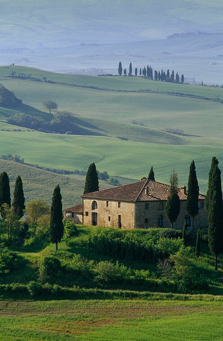 View at country house with cypresses on a hill, Val d'Orcia, Tuscany, Italy, Europe