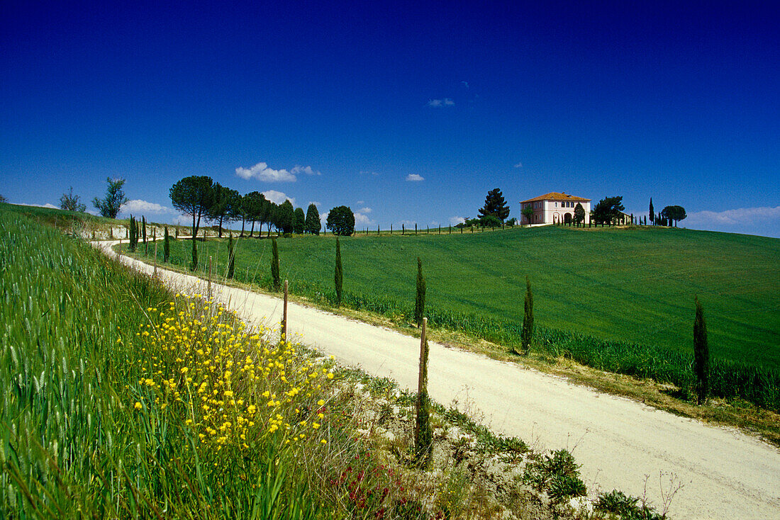Landstrasse und Landhaus unter blauem Himmel, Val d´Orcia, Toskana, Italien, Europa