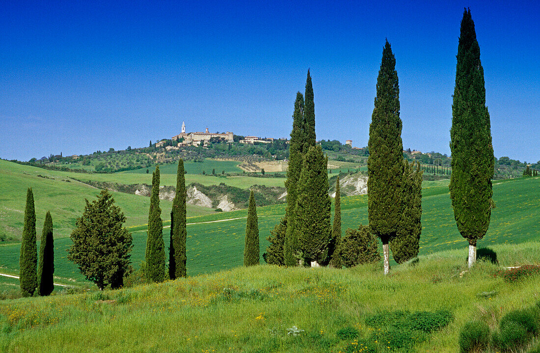 Landscape under blue sky, view at the town Pienza on a hill, Val d'Orcia, Tuscany, Italy, Europe