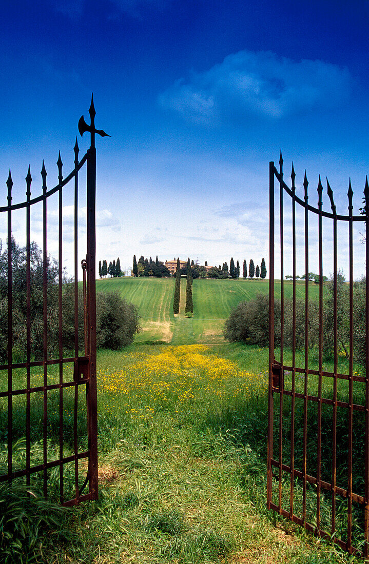 View through a garden gate at a country house, Val d´Orcia, Tuscany, Italy, Europe
