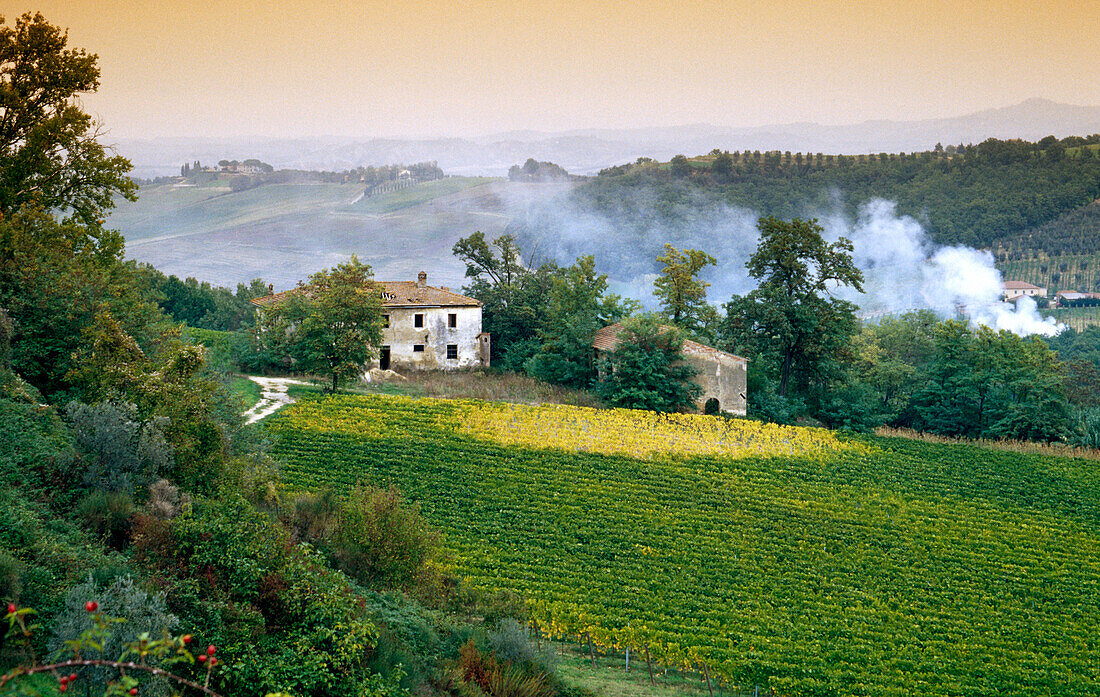 Landhaus auf einem Hügel im Morgenrot, Toskana, Italien, Europa