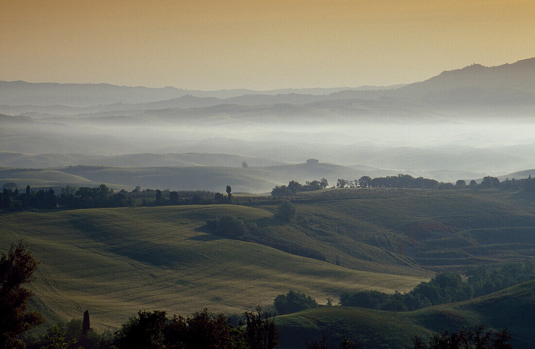 Landscape in the morning mist, Crete, Tuscany, Italy, Europe