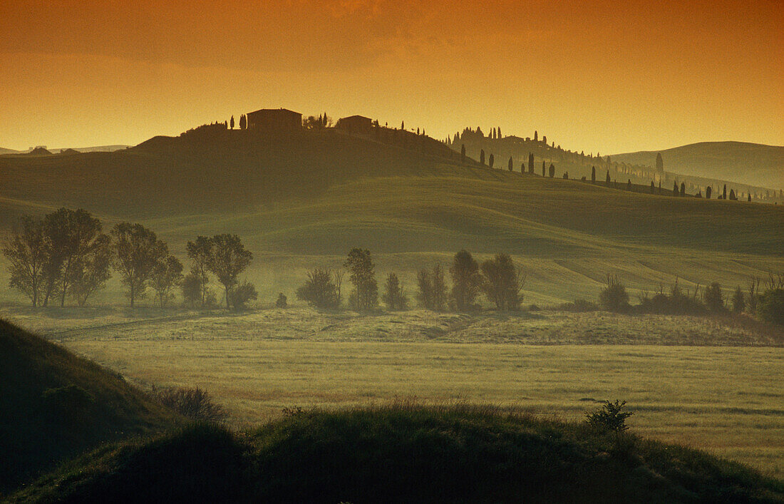 Landscape in the morning mist, Val d'Orcia, Tuscany, Italy, Europe