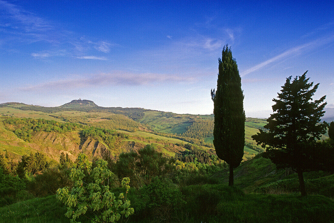 Hügellandschaft im Sonnenlicht, Val d'Orcia, Toskana, Italien, Europa