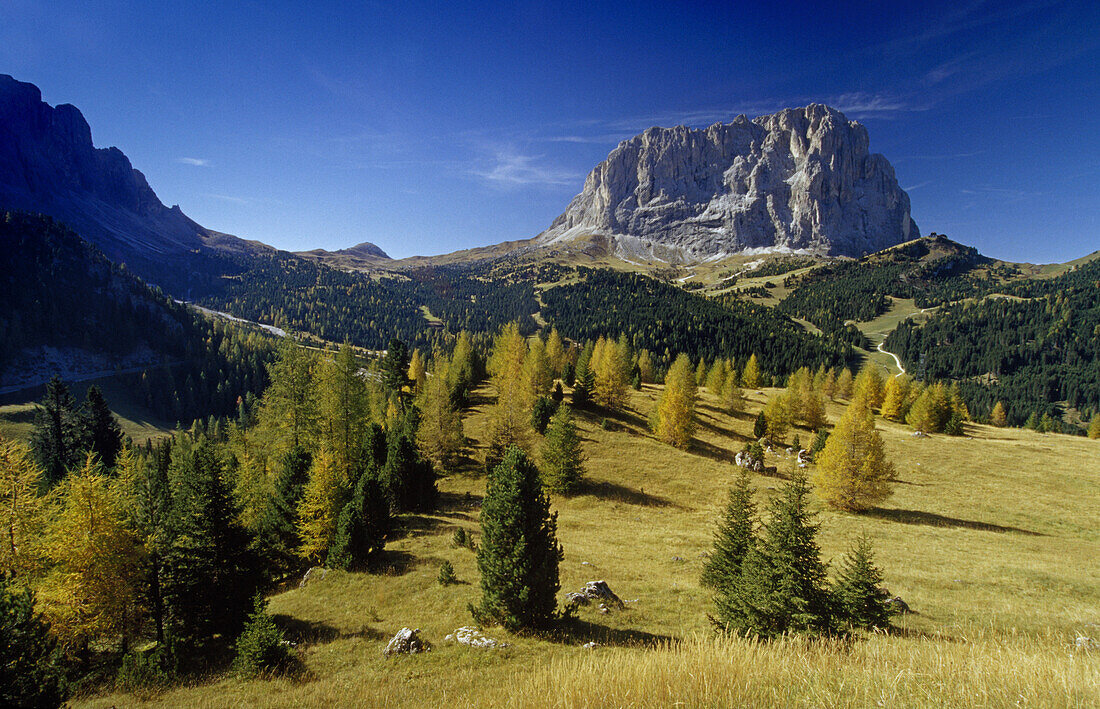 View to Sasso Lungo, Passo di Gardena, Dolomite Alps, South Tyrol, Italy