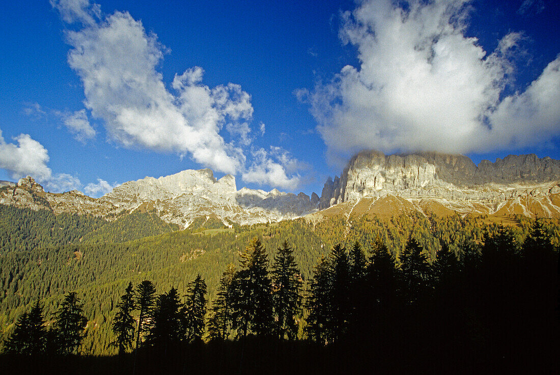 Blick zum Rosengarten, Dolomiten, Südtirol, Italien
