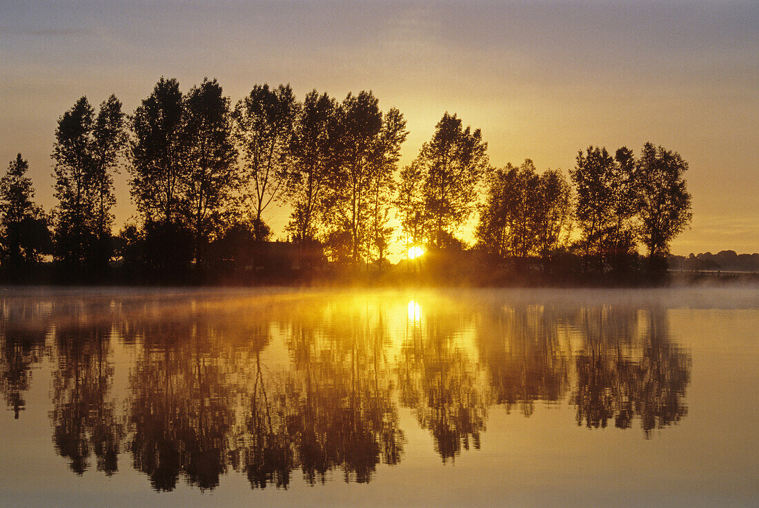 Sunrise at Millinger Meer, old arm of Rhine river, near Rees, Lower Rhine, North Rhine-Westphalia, Germany