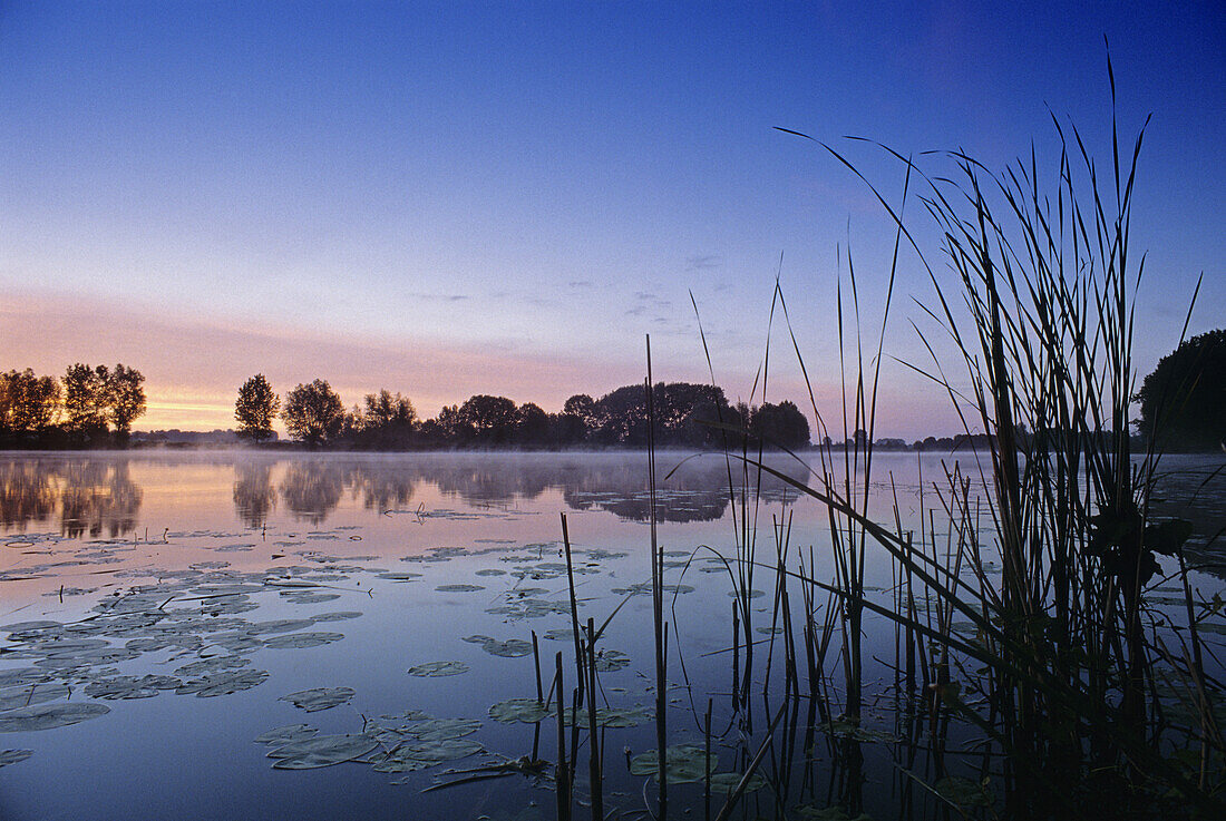 Sunrise at Lake Millinger, old arm of Rhine river, near Rees, Lower Rhine, North Rhine-Westphalia, Germany