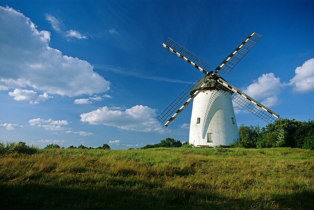 Engelsberg Windmühle, bei Krefeld, Niederrhein, Nordrhein Westfalen, Deutschland