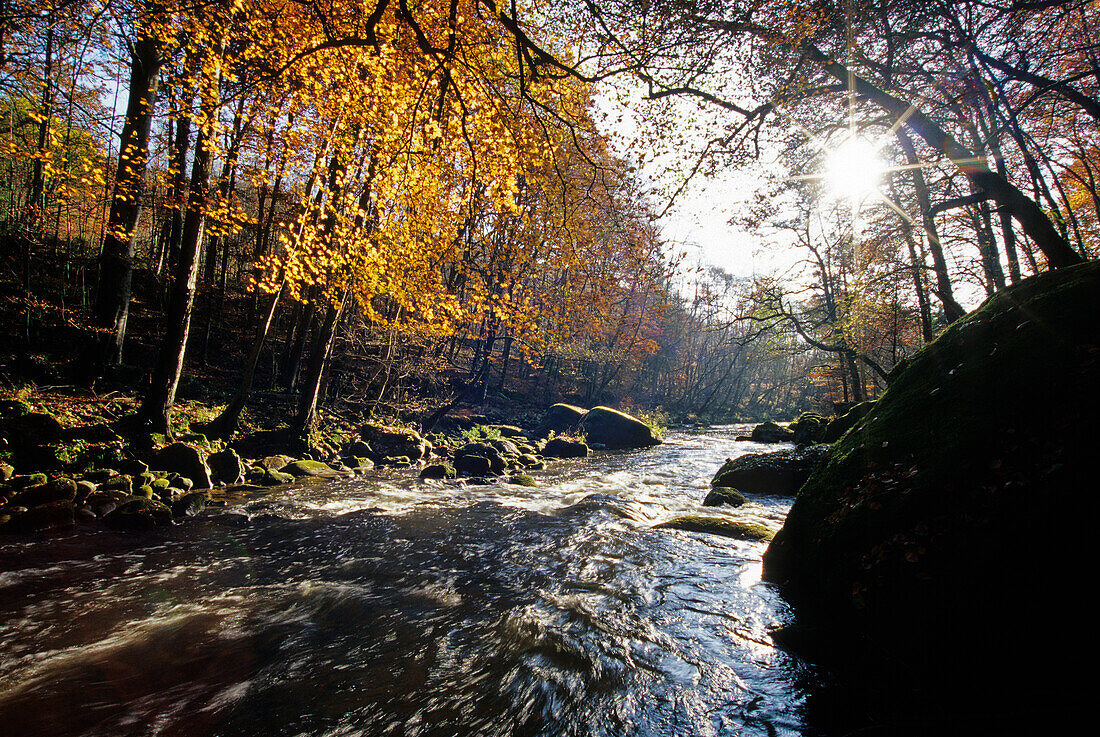 Irrel waterfalls, cataracts of Pruem river, near Irrel, Eifel, Rhineland Palatinate, Germany