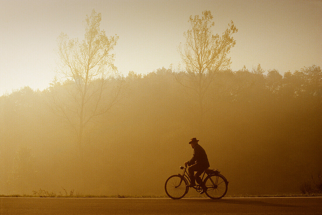 Cyclist in the Enz valley, Eifel, Rhineland Palatinate, Germany