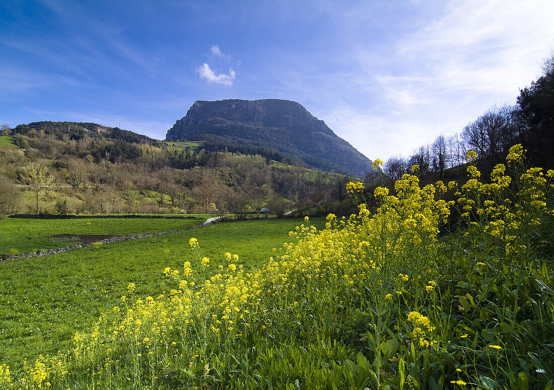 Ramales de la Victoria. Cantabria, Spain.