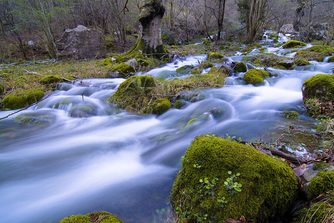 Asón river, Ramales de la Victoria, Cantabria. Spain.