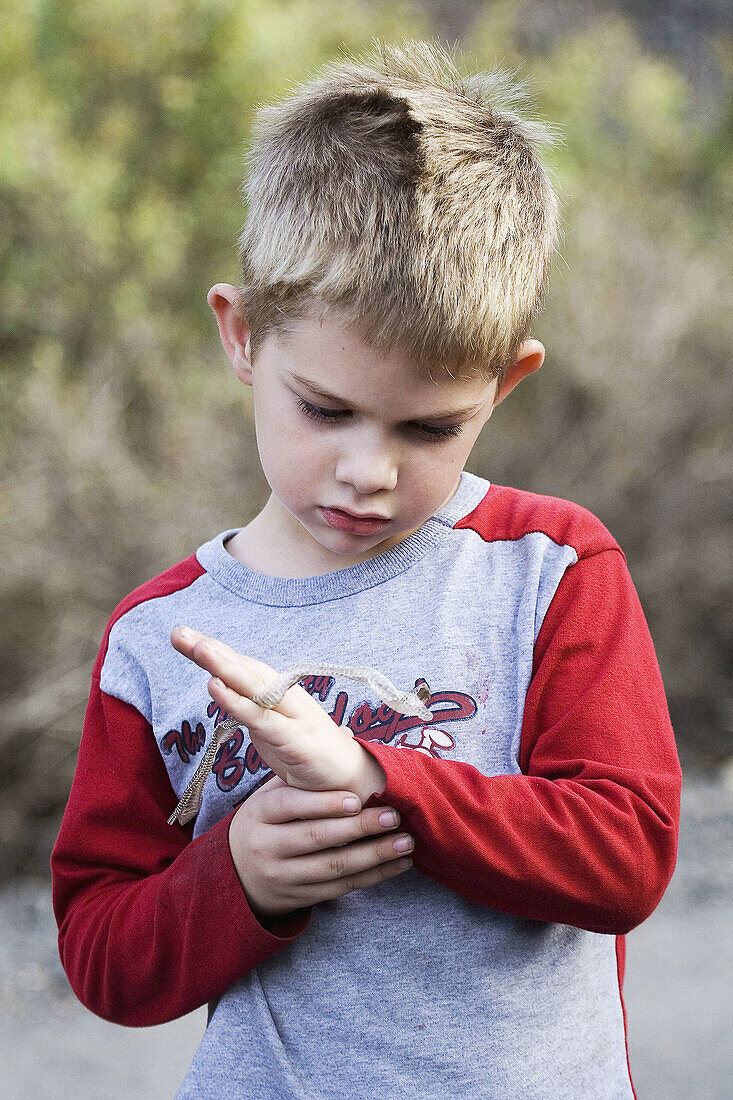 A young caucasian boy, 5-10, inspects a snakeskin he found outdoors.